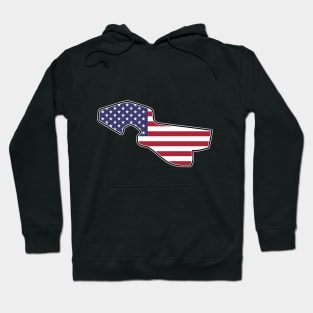 Detroit Belle Isle Circuit [flag] Hoodie